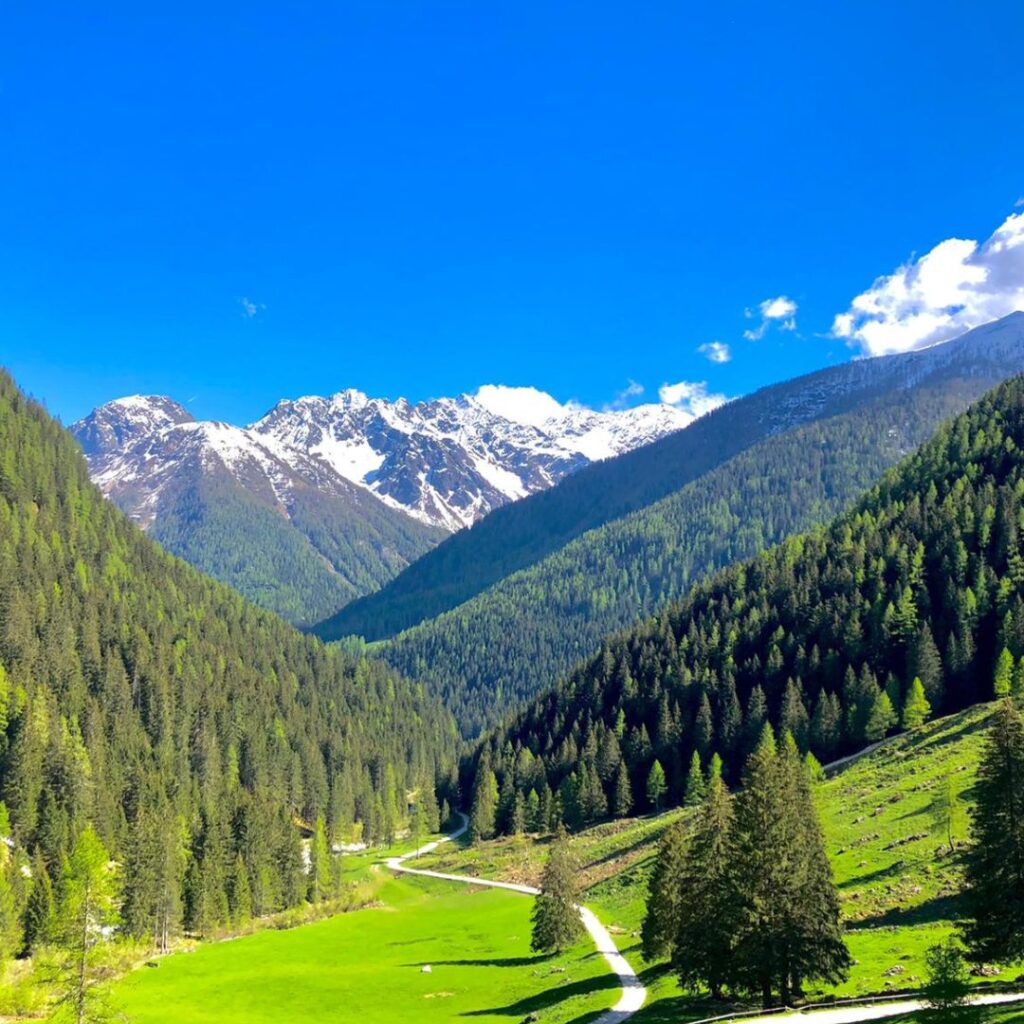 sentiero in montagna