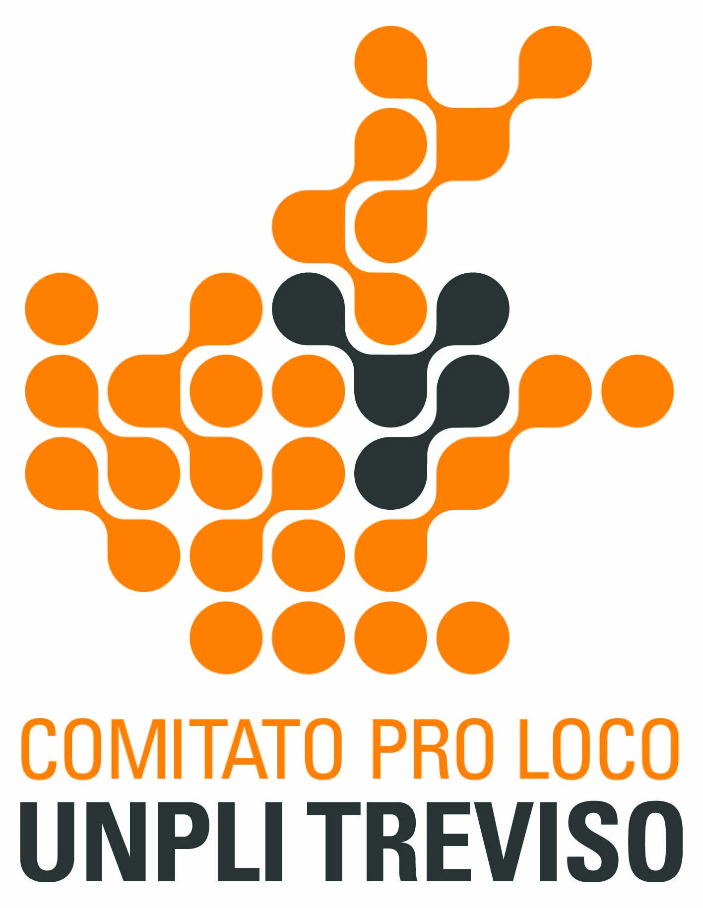 logo comitato pro logo unpli treviso